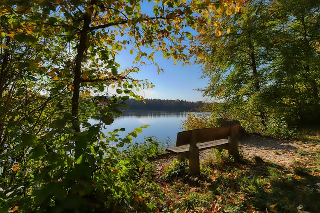 进行胶着拉 进行胶着拉