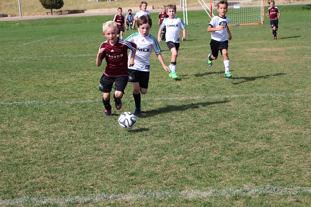 这种租借策 这种租借策